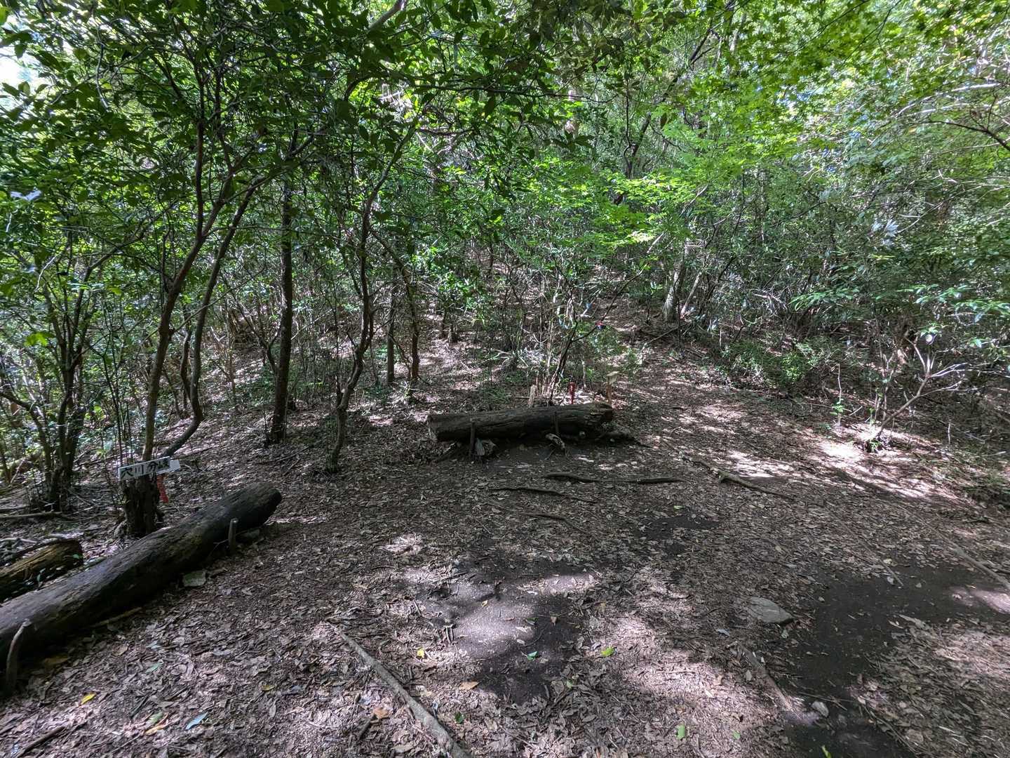 穴川分岐