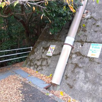 ここが登山口になる　ここからアスファルト道で駐車場に戻る　山道よりこっちがしんどかった😩　後で地図を見るともっと近道がありそう