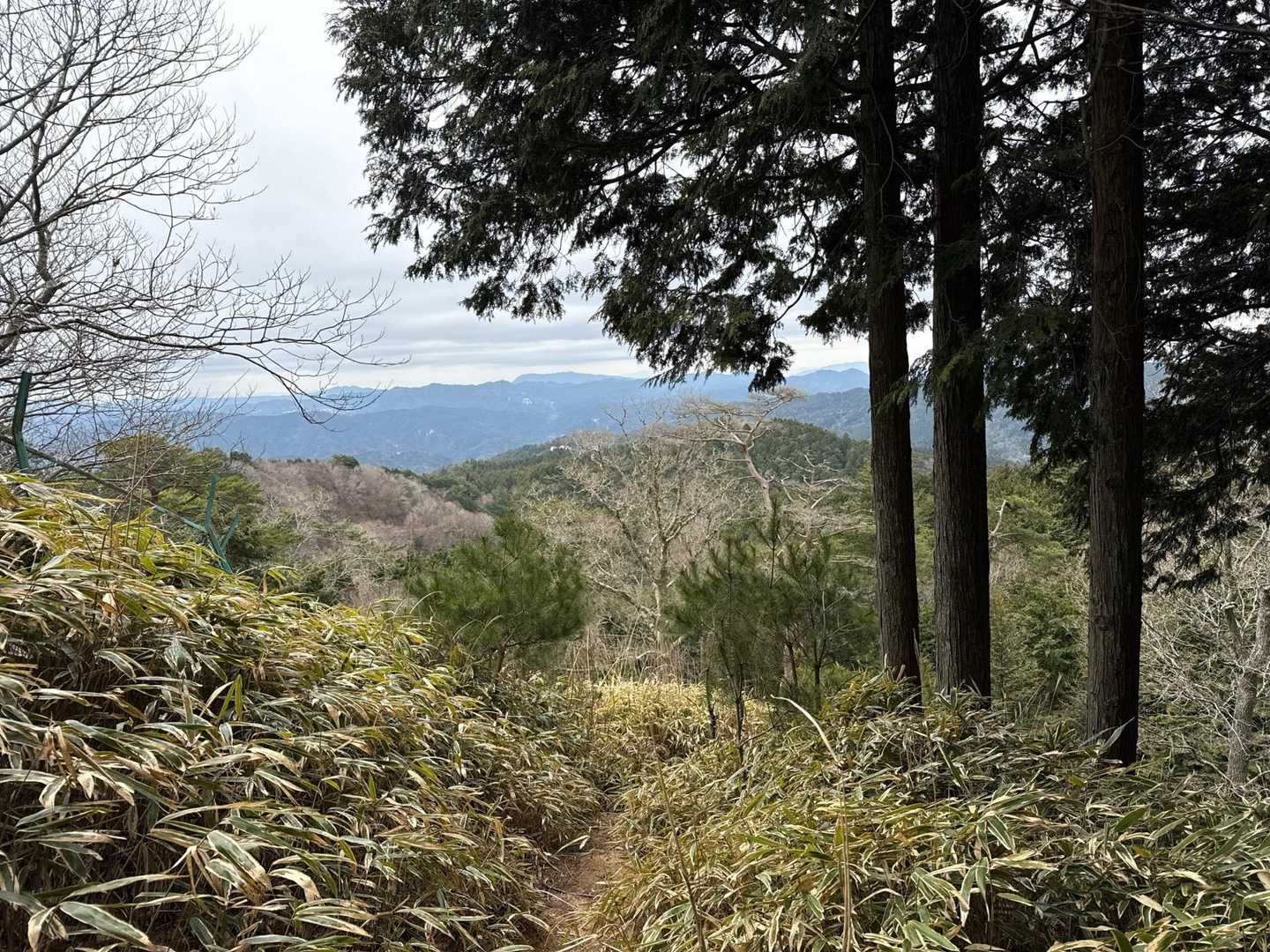 阿星山 往復コースの写真