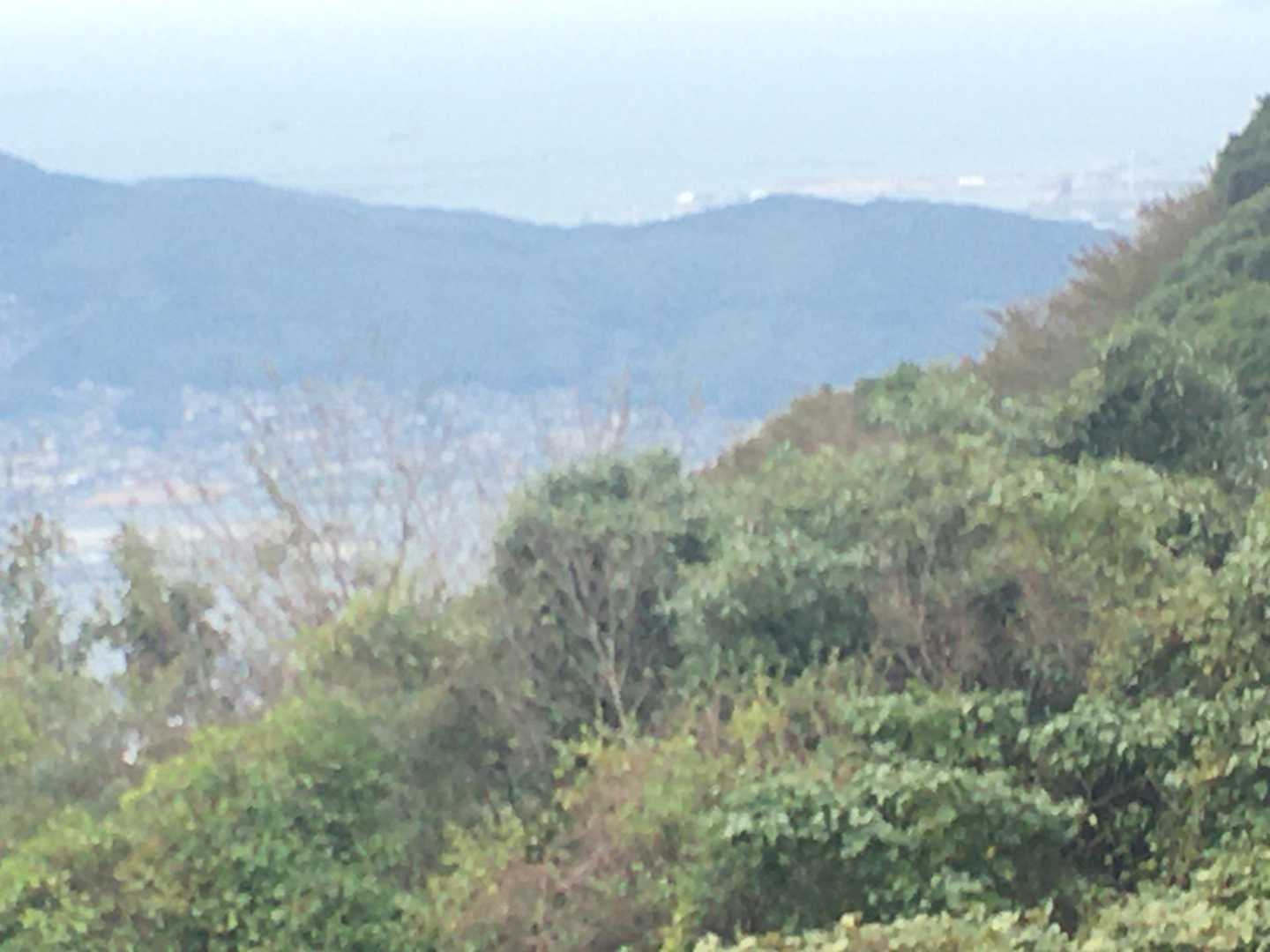 権現山登り口-皿倉山ビジターセンター 往復コースの写真