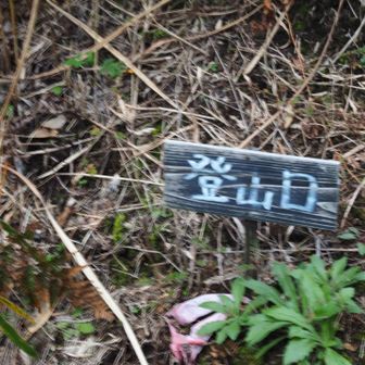 登りと違う登山口に降りる