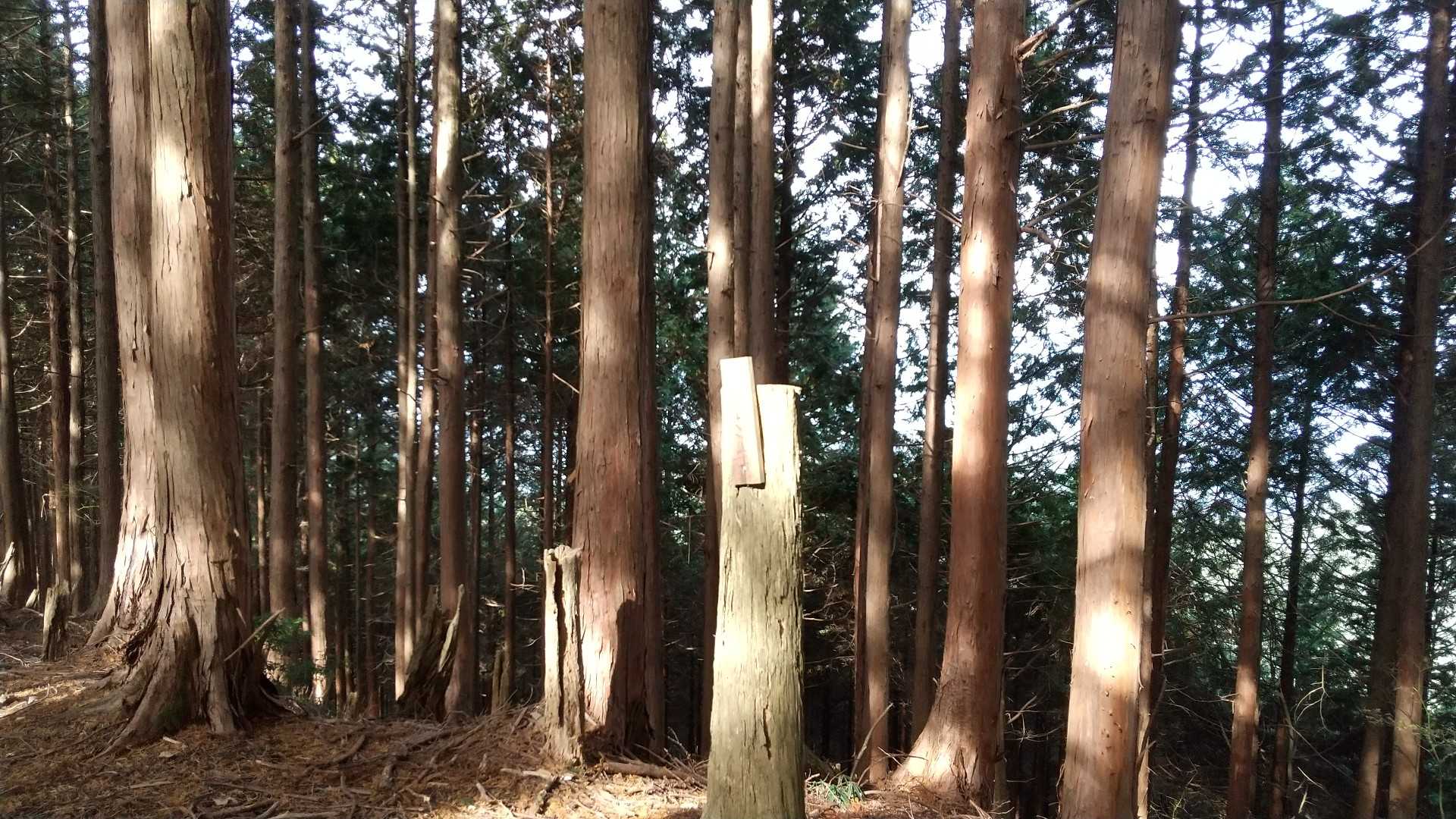 薊岳