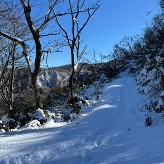 箱屋谷山に向かう道。
頑張ろーーーッ٩( ᐛ )و