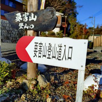 尾根に出るまで、結構登ります　コヤシロ山くらいまで、獣の気配にビビりながら（今日は一人登山じゃなくてよかった😅）