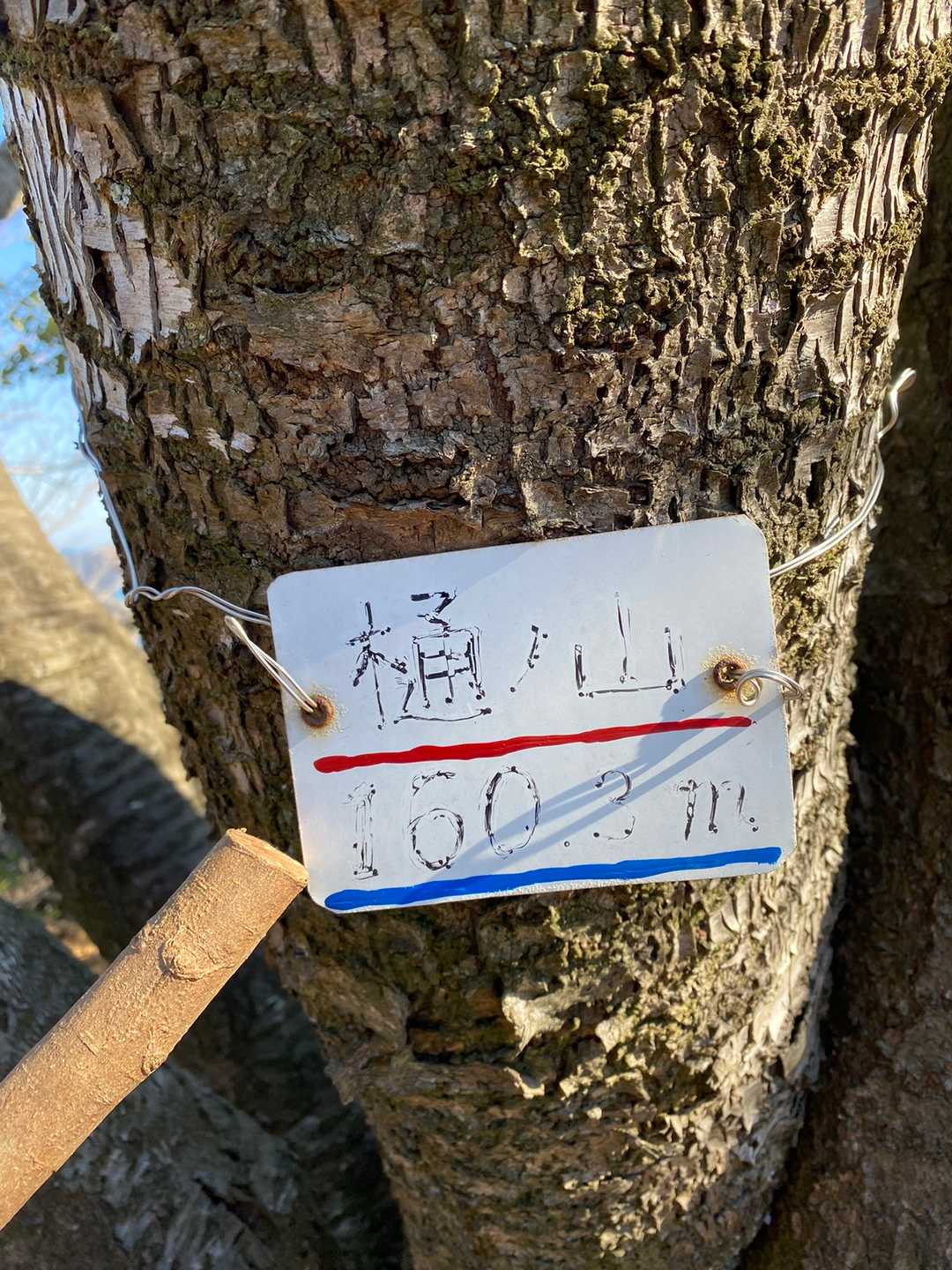 本日3座目の樋ノ山山頂に到着！