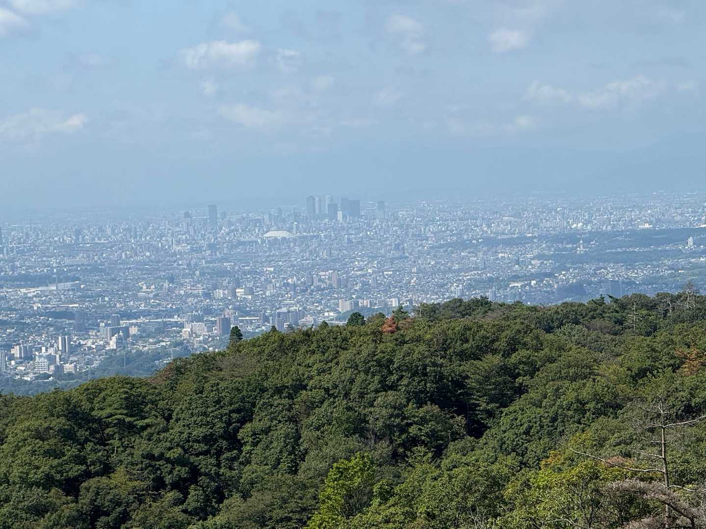 元岩巣山-岩巣山 往復コースの写真