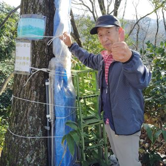 鳥山展望台のベンチは解体され冬籠り。