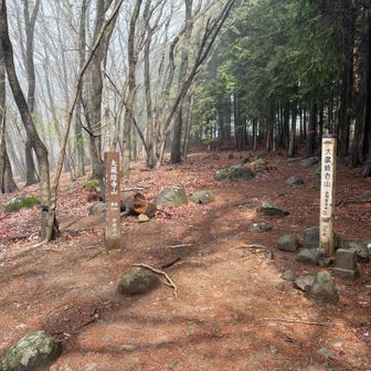 山頂到着
ここは眺望無し