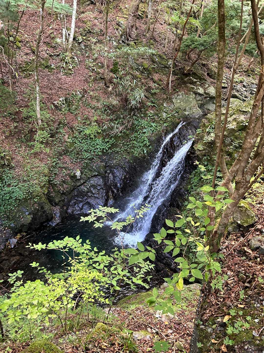 薊岳-前山-東屋 周回コースの写真