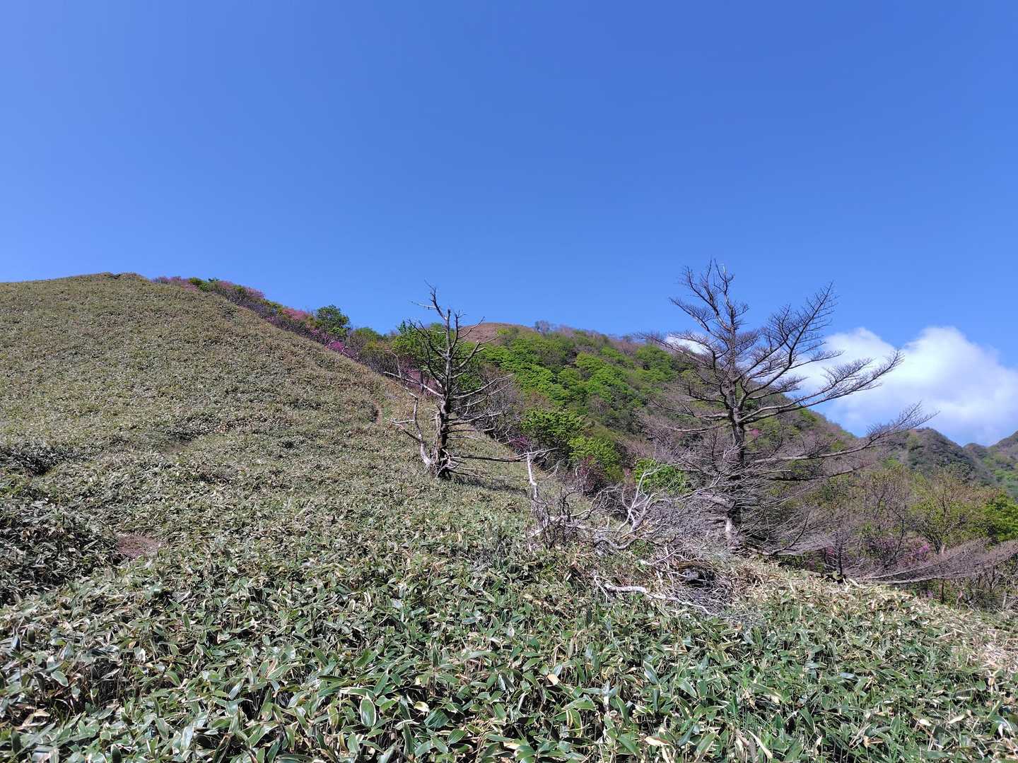 大永山トンネル口-大坂屋敷越-獅子舞の鼻-ちち山 往復コースの写真