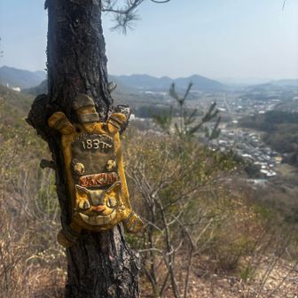 どんぐりがすぐる🐹