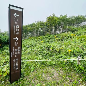 第三お花畑