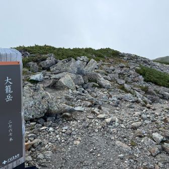 この辺から山頂はガス