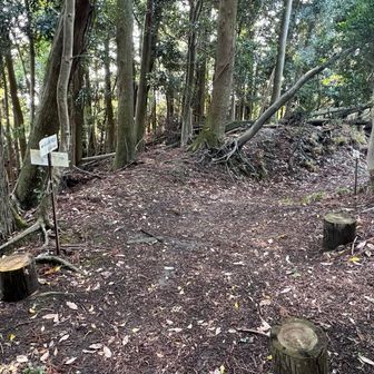 道標のある分岐から大塚山を往復しよう。