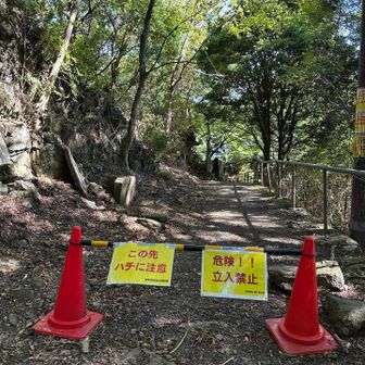 🐝⁉️