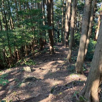 下山します。