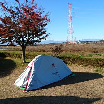 まるふく