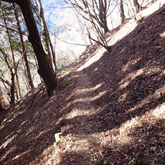 この道は気持ち良いです。