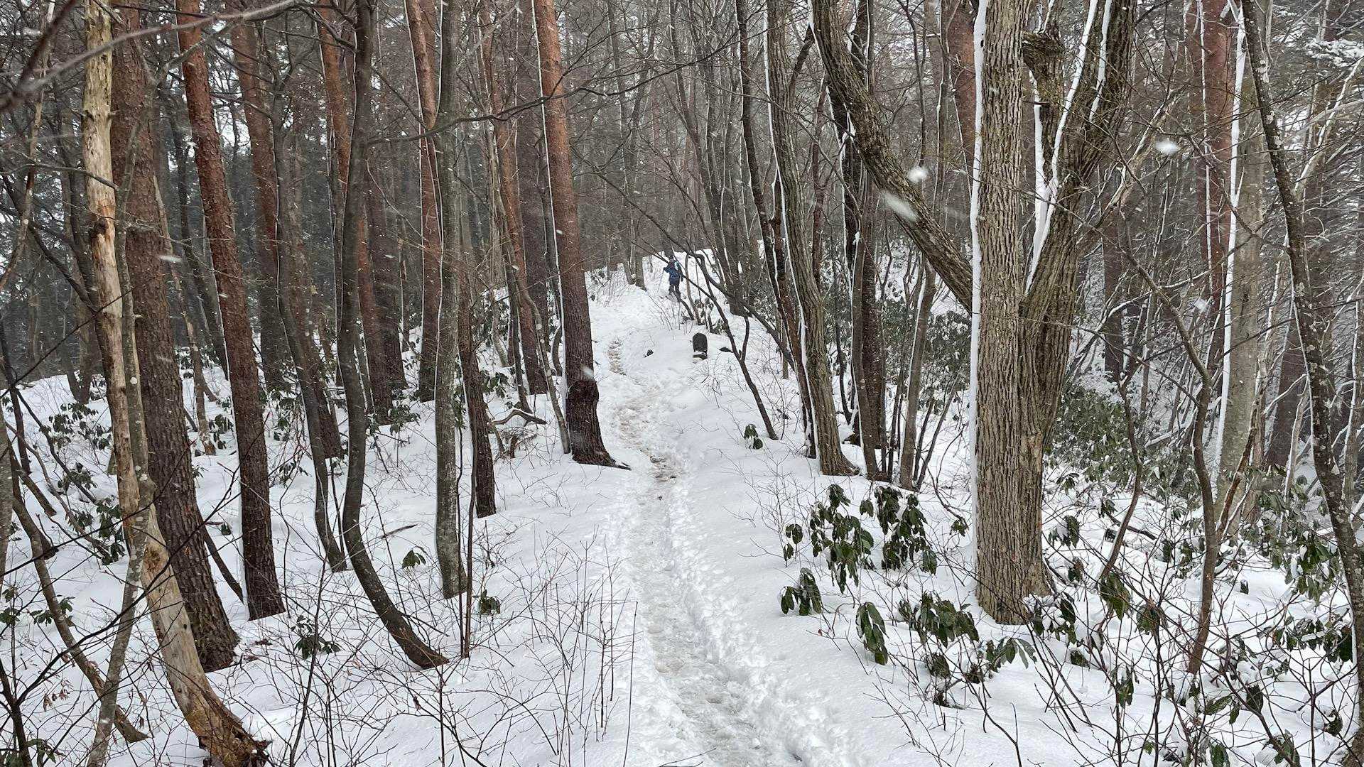 女人堂-前岳 往復コースの写真