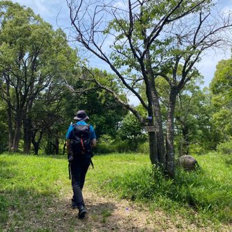 登頂⛰️