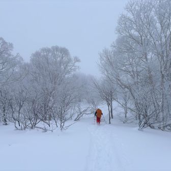 この辺はスノーシューの方が沈まない
