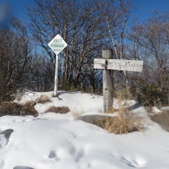 デジカメが雪まみれで写りが悪いですが、頂上。