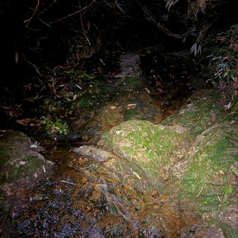 給水