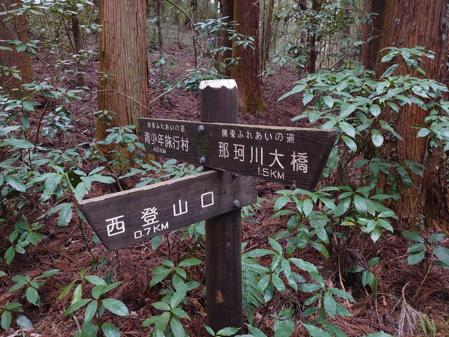 西登山口途中から赤沢富士に向かいます。