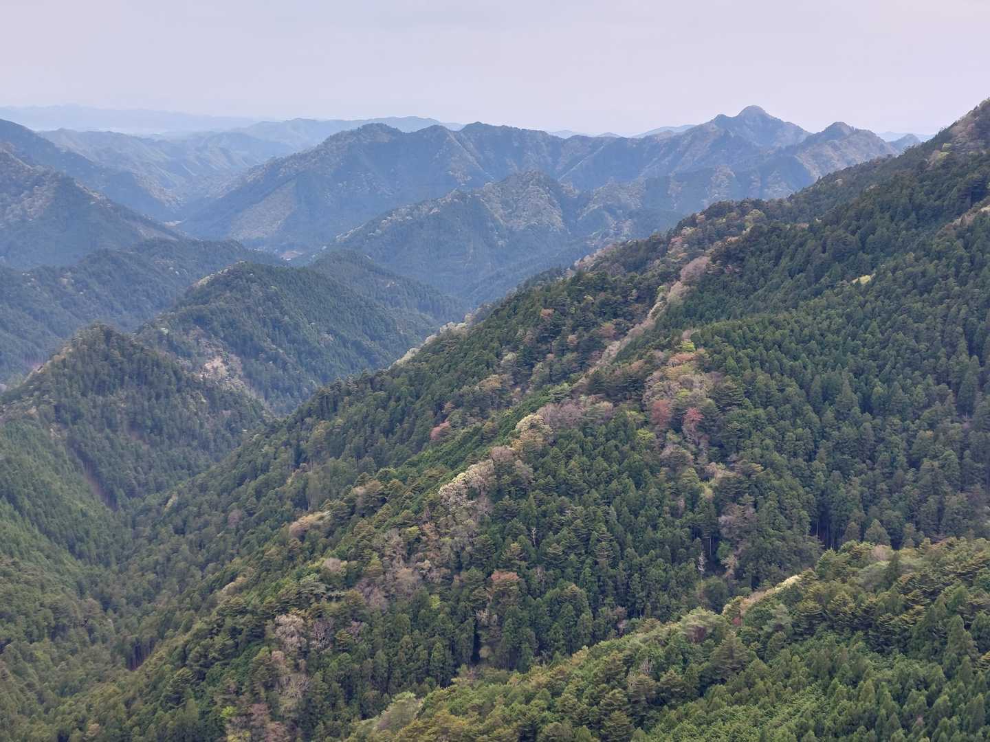 播州の山を展望する