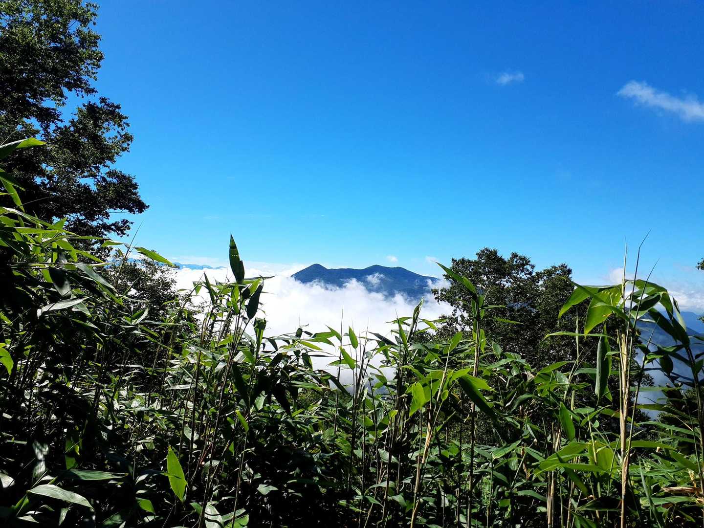 飯縄山が雲に呑まれてしまった