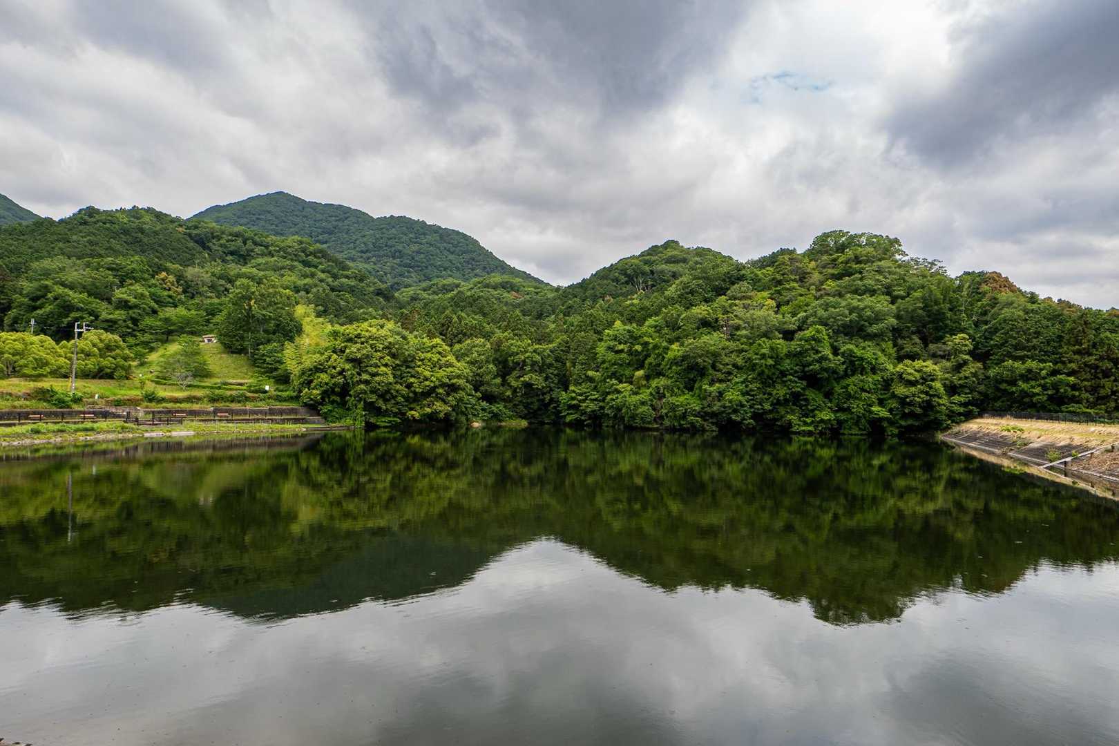 大池も久し振り😊