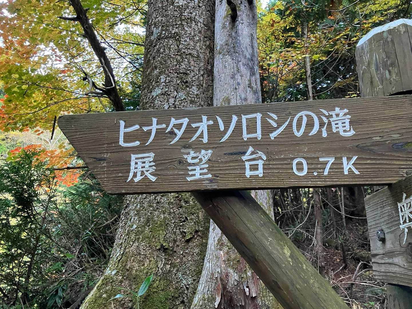 分岐点から鬼怒沼へ行くルートから外れて、ヒナタオソロシの滝の展望台へ寄ってみます😃ちょっと700mは遠いけど…
