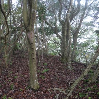 東ノ峰の山頂は何もない。。