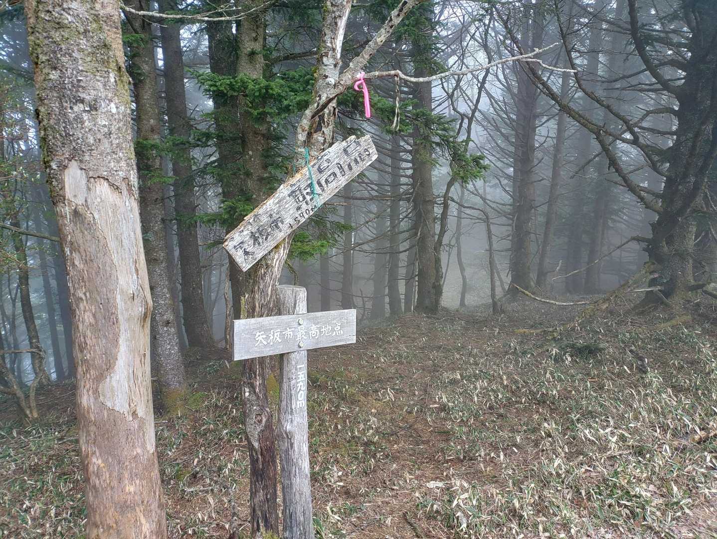 矢板最高峰〰
一時期あった「矢板山」🤔？