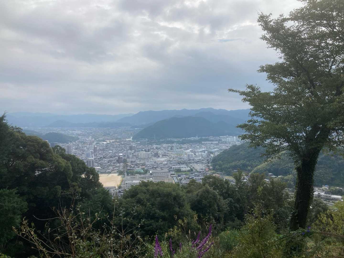 高嶺城跡登山口-兄弟山コース登山口-鴻ノ峰 往復コースの写真