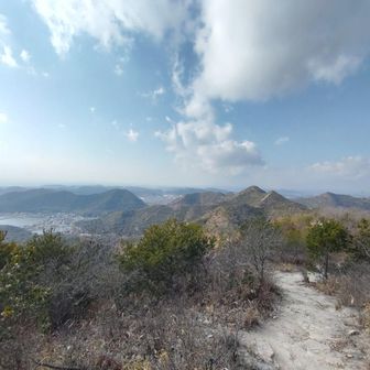 あのピンピンたちを