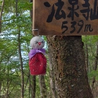 テルエル坊主ですか　女性ですか