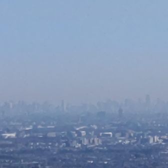 新宿ビル群。この左側にスカイツリーが見えました。