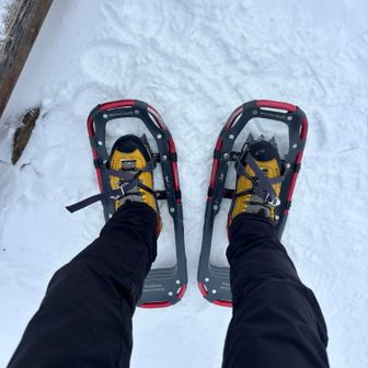 足取られるので、何となく雰囲気でスノーシュー換装🐍
雪少ないのでどちらでも🆗