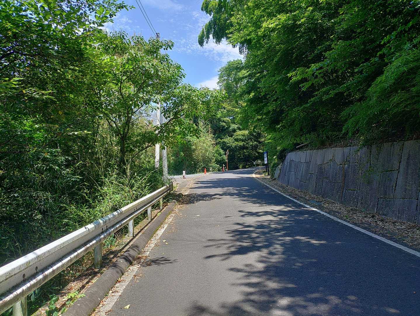 それにしても