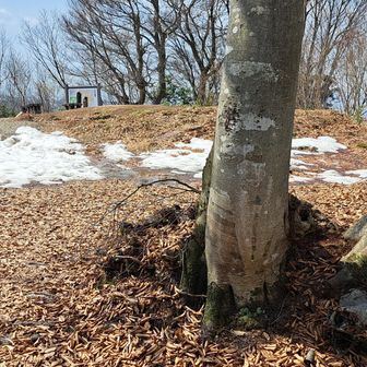 着きました～☺
もう雪はほとんど溶けましたね