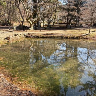 曽木公園　帰ってきた１