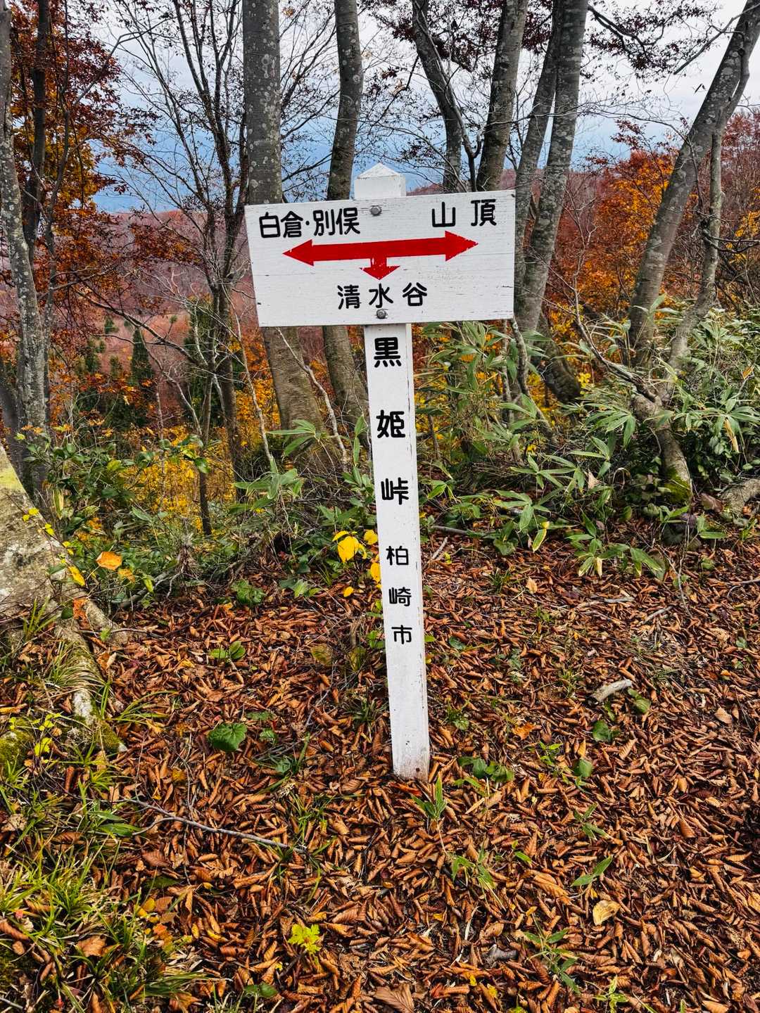 知らないうちに汗冷えして😫
　かなり冷えたかな？

急にお腹が激痛・いつもと違う汗だく・
 吐き気😭動けなくなり
たくさんのアドバイスをいただき
　本当にお勉強になりました🙏

リュックも置いて
　痛みが引いた時に登って
やっとココまで来れた