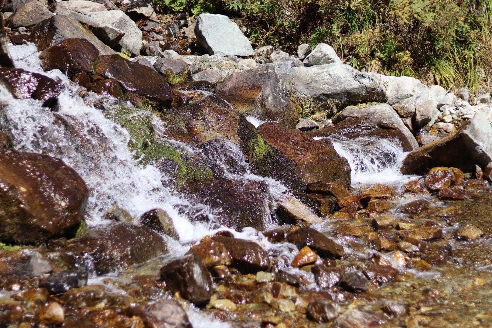 抜戸岳-秩父平-大ノマ岳-大ノマ乗越-弓折岳-弓折乗越-小 縦走コースの写真
