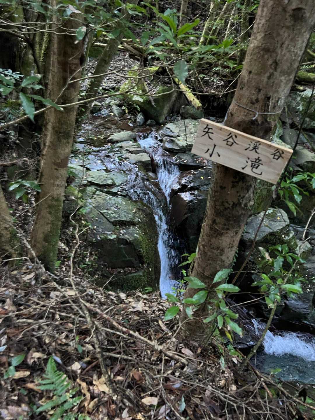 小滝
沢沿いを歩きますが暑い🥵
🪰が多い😣
もうすぐ11月なんだけどなぁ〜