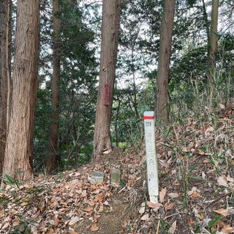 ここも眺望なし！