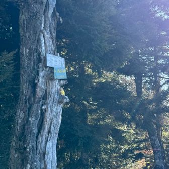 大満足！
名残惜しいけど敬慎院に戻ろう。
みんみんがちょっと振り返り「あ！」と指差しました。ん、どしたの？
ひゃー！オタマを置き去りにしていました💦
みんみん、ありがとー😅