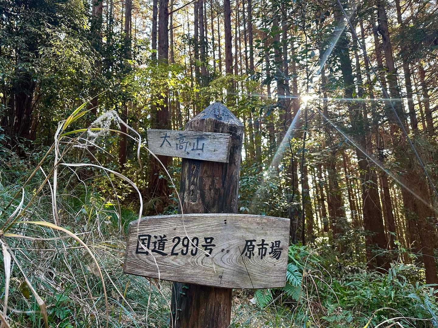 ここを入っていきます