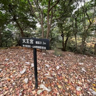 天王山

このエリアはゴルフ場も近くにあるし国道に囲まれているので熊との遭遇確率は低いだろうと想定していたけど、来てみるとどんぐりいっぱい、人も少ないので、もしやと熊鈴鳴らして進みます