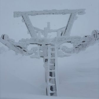 来年も宜しくお願いします🙇‍♂️
おしまい🙇‍♂️